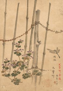 竹垣と菊 作： Kono Bairei