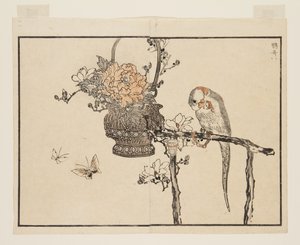オウム（インコ）（カラー木版画 作： Kono Bairei