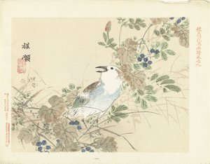 秋の草の間の鳴き鳥 梅嶺の花鳥画（連載タイトル） ばれい課長画譜
