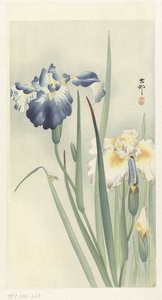 アイリス 作： Ohara Koson