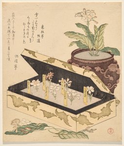 漆箱のサクラソウの詰め合わせ