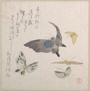  作： Kubo Shunman