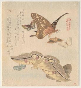 蝶と蛾、シリーズ「蝶の群れ」より (Gunch? Gafu) 作： Kubo Shunman