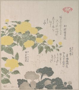  作： Kubo Shunman