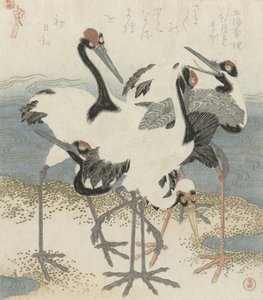 水辺の鶴、1816年頃（カラー木版） 作： Kubo Shunman