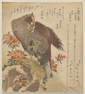 ツツジの茂みのそばの岩の上に爪を上げたワシ 作： Kubo Shunman
