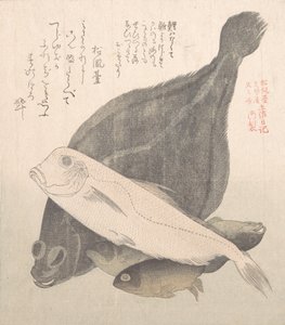 ヒラメとその他の魚、19 世紀。