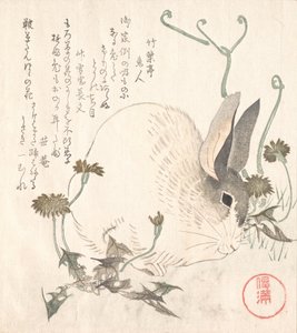 うさぎとタンポポ、おそらく 1820 年。 作： Kubo Shunman