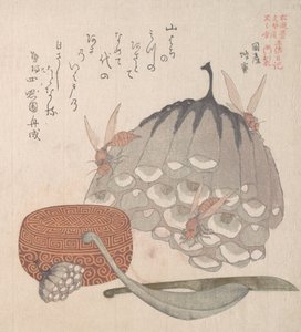 スズメバチの巣箱と蜂蜜用スプーンの入った箱、19 世紀。 作： Kubo Shunman