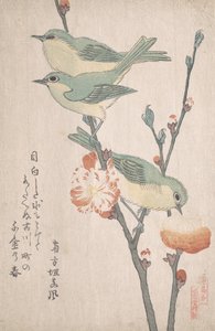 桃の木の枝に乗った日本の白目...1805～10年頃 作： Kubo Shunman