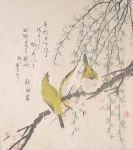 メジロと梅と柳… 1810年。 作： Kubo Shunman