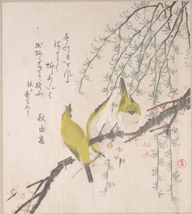  作： Kubo Shunman