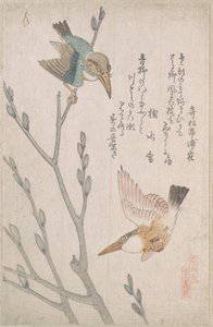  作： Kubo Shunman