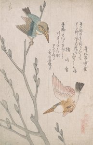 カワセミとプッシーウィロー 19世紀