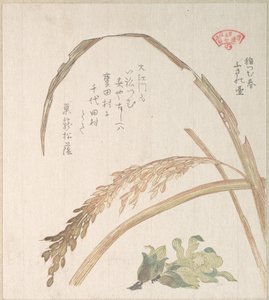  作： Kubo Shunman
