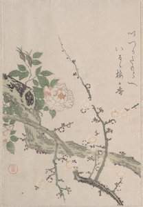  作： Kubo Shunman