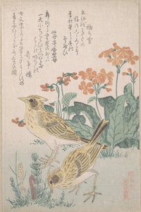 作： Kubo Shunman