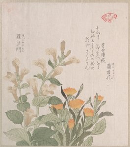  作： 久保俊満