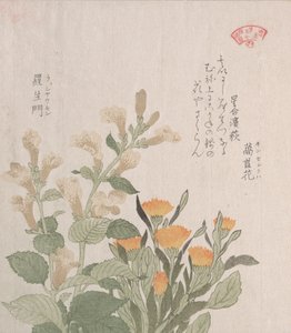 マリーゴールドとラジョマンの花 19世紀 作： Kubo Shunman