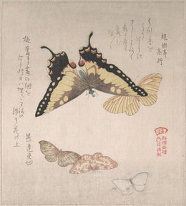  作： 久保俊満