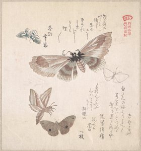  作： 久保俊満