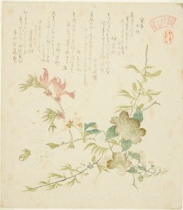 「四方川霞連春の草木の内」連載「春の草木」より春の花いろいろ 作： Kubo Shunman