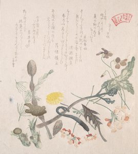 スミレやサクラソウなどの春の花を描いた19世紀の作品。 作： Kubo Shunman