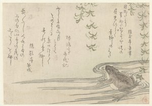 柳の木の下のカエル