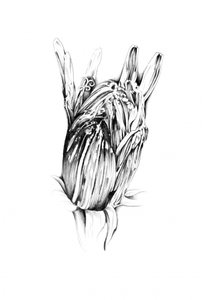  作： 