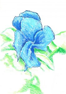 作： 