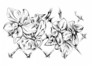 作： 