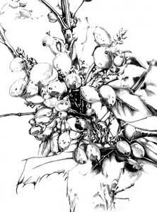  作： 