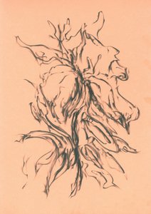  作： 