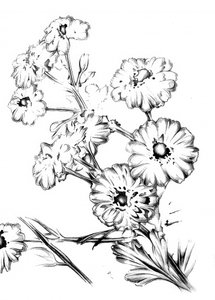  作： 