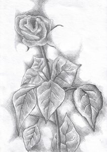  作： 