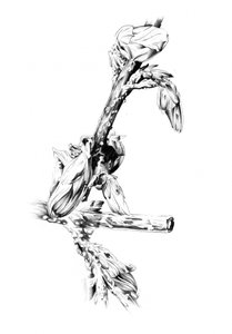  作： 