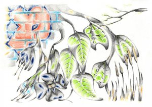  作： 