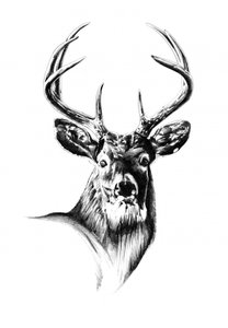  作： 