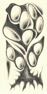 作： 