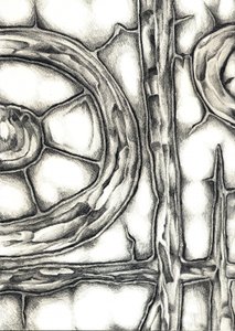  作： 
