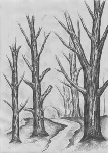  作： 