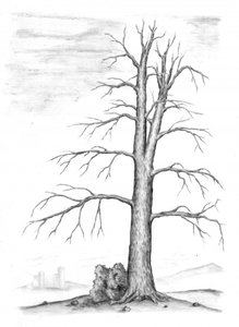  作： 
