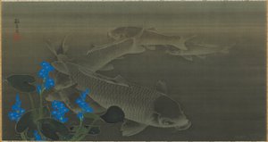 鯉 江戸時代・19世紀初頭 作： Kuroda Toko
