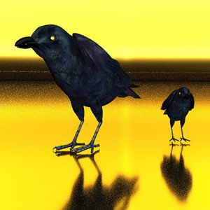 カラスのテクスチャ 作： Kurt Heppke