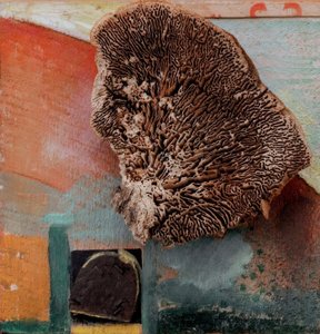 無題（サンゴとメルツの写真） 作： Kurt Schwitters