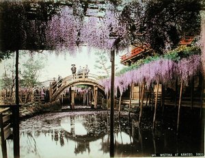 東京・亀戸の藤」（カードに手彩色のアルペンプリント） 作： Kusakabe (attr. to) Kimbei