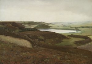 ユトランド、ブリュップ近郊の風景 作： Laurits Andersen Ring
