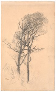 下草の少ない 2 本の木 作： Laurits Andersen Ring