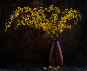  作： 