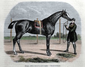 イギリスの競走馬エクリプス。イラストはRouyer。 作： L. (after) Rouyer